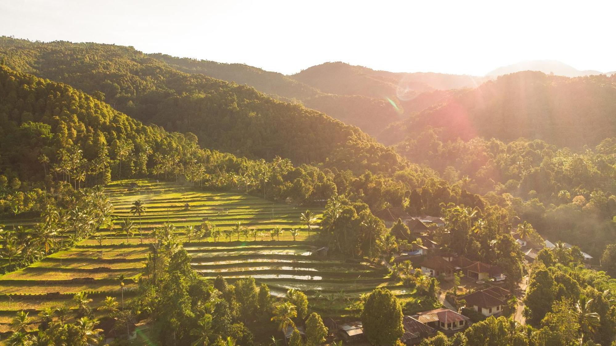 Nadira Bali Villa Munduk Esterno foto